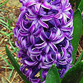 u=1453857846,4065621807&fm=58.jpg