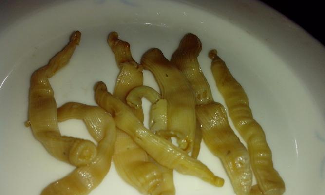 海里的美食天堂（探寻海洋中的可食植物）