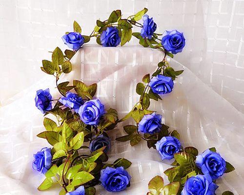 17朵玫瑰的花语（传达爱情、感恩和祝福的完美神器）
