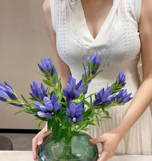 龙胆花的花语（探秘龙胆花的七种花语，为生活注入色彩）