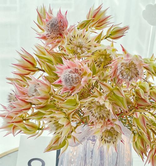 新娘花语——诠释婚礼中的花卉语言（新娘花语的含义、选择与搭配）