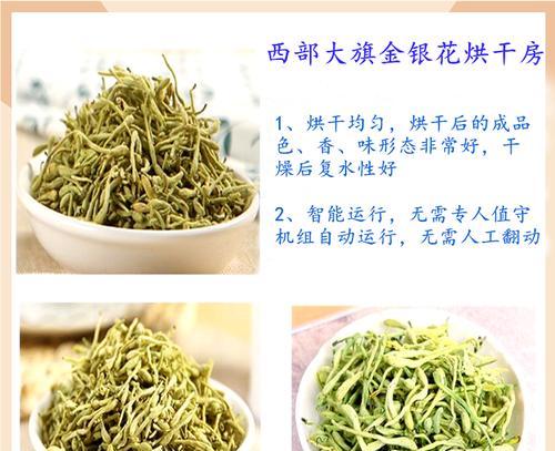 金银花带绒和不带绒的区别（从形态、功效、用途和品质四个方面进行比较）