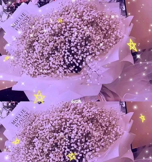 满天星的花语代表着什么（探寻满天星的内涵与象征）