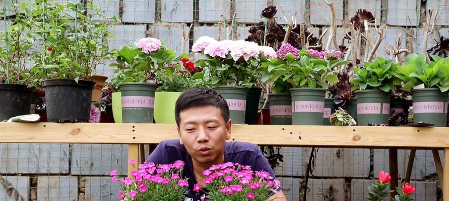 五彩花种植全攻略（打造五彩缤纷的花园，让生活多一份色彩）