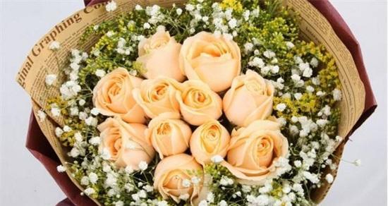 解读香槟玫瑰的花语（浪漫、奢华、感性）