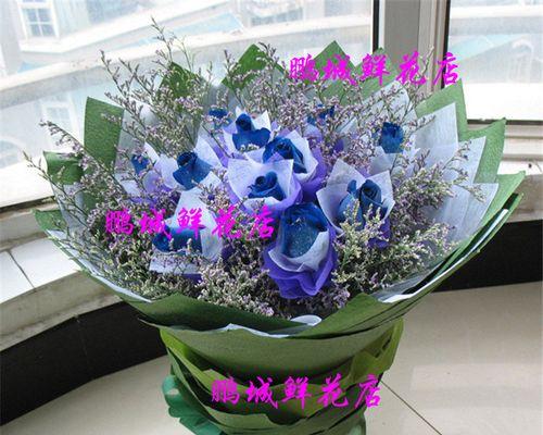 揭秘蓝色妖姬11朵的象征意义（11朵蓝色妖姬花语全解析，让你更懂花语之美）