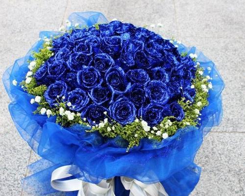 探究蓝色妖姬的意义（从文化象征到心理分析的全方位解读）