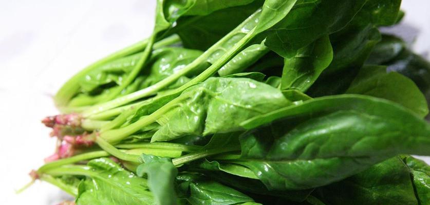 春季蔬菜种植指南（适宜春季种植的蔬菜有哪些？）