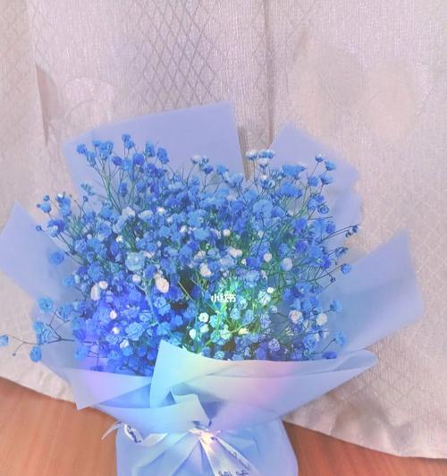 蓝色满天星花语代表什么意思？（解读蓝色满天星的8种含义）