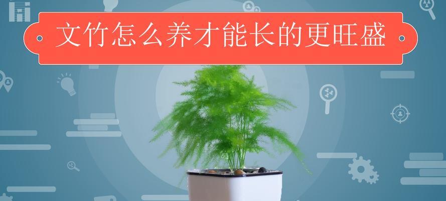 文竹养护指南（正确的修剪技巧让文竹生机盎然）