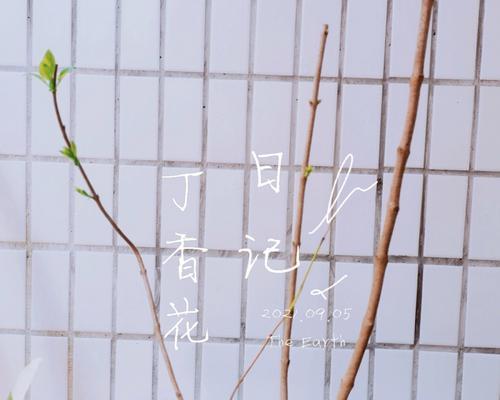 如何养护丁香花？（室内丁香花的养护技巧）