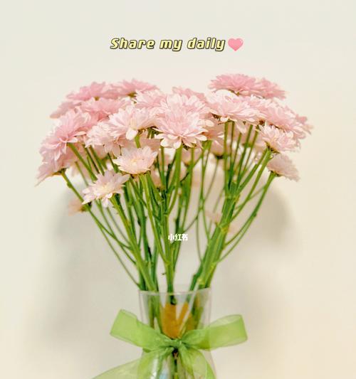 如何在花瓶里养活雏菊（打造居家美景，花好月圆）