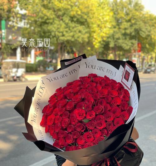 红玫瑰花的象征意义（解读红玫瑰花所代表的情感和美好）