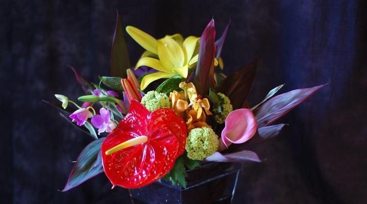 红掌花的寓意及意义（探索红掌花的象征与内涵）
