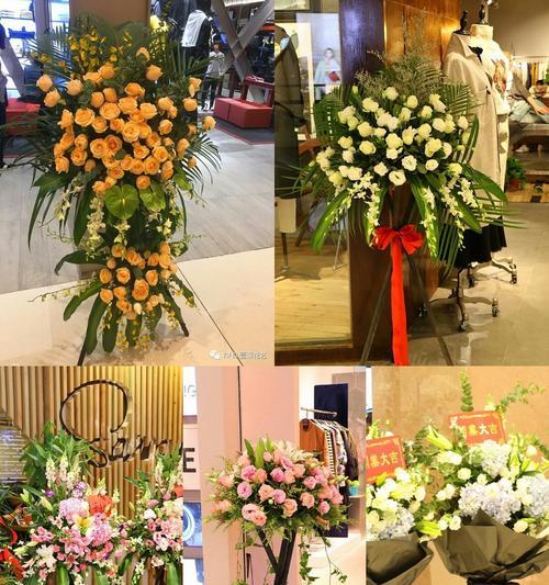 诚信之花——康乃馨（康乃馨，真诚的象征）