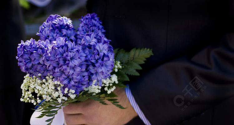 男人的花语之路（以花为媒，探索男人内心的柔情一面）