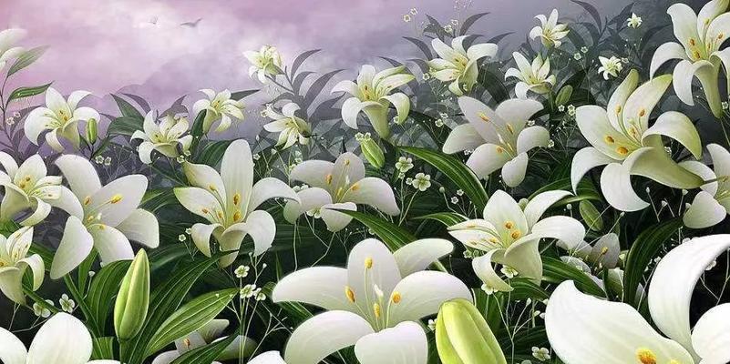 失去的花语——以菊花为例（寓意深远的花语与意义）