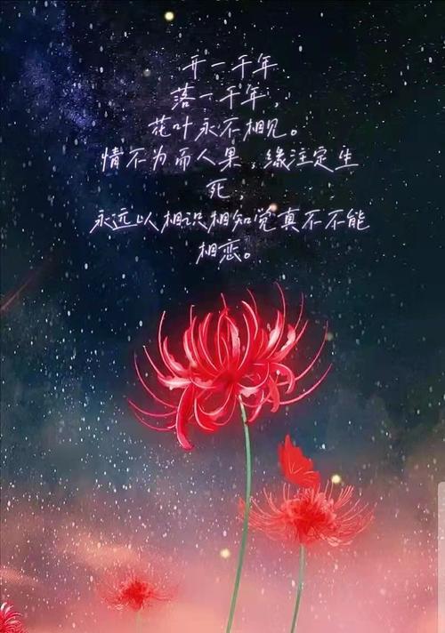 红玫瑰，传递我喜欢你的花语（红玫瑰花语、红玫瑰的象征意义及传递爱意的方式）