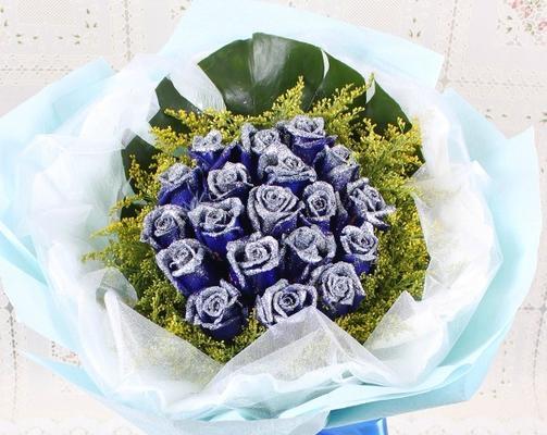 蓝色妖姬的花语（以九朵蓝色妖姬的花语，传递爱与希望的力量）