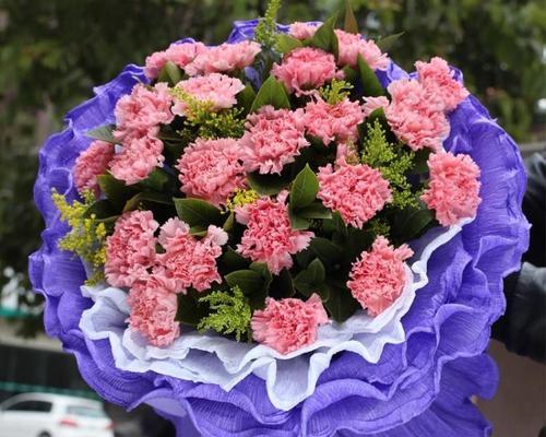康乃馨花语的象征与寓意（康乃馨的花语是什么？康乃馨的寓意有哪些？）