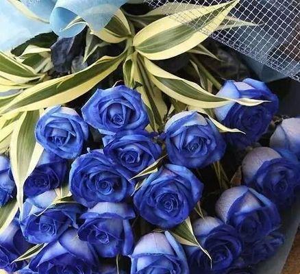 以蓝玫瑰花代表什么花语？（探索蓝玫瑰的花语深意）