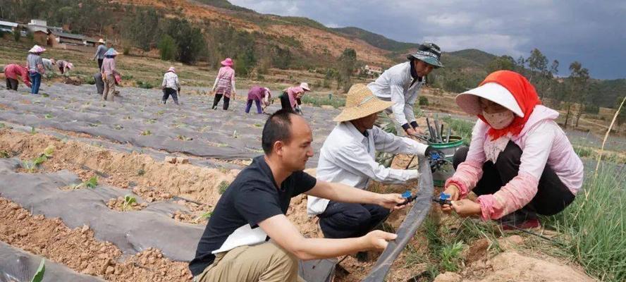 如何移栽云南马樱花？（掌握技巧，让马樱花在新家绽放）