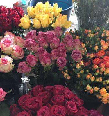 红玫瑰花的寓意与象征（探寻8朵红玫瑰花的深层含义）