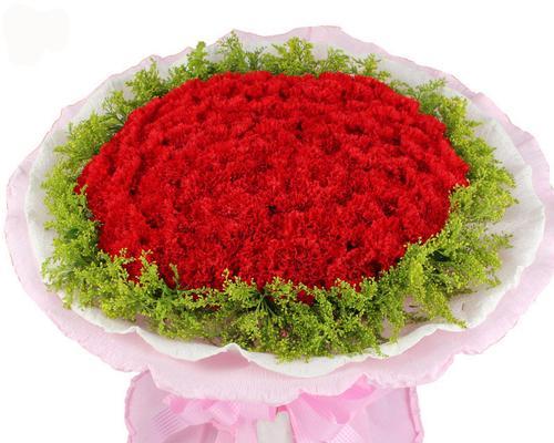 红色康乃馨花语与寓意（红色康乃馨的浪漫之美）