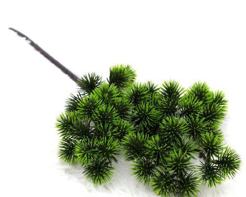 用松针栽花，打造自然花园（花园美景不再难，松针助你栽）