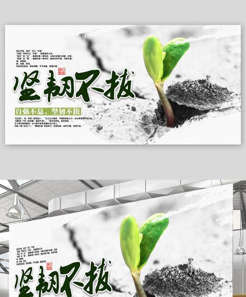 以坚韧不拔的仙人掌为主题的花之魅力（迎难而上，坚持生存的仙人掌）
