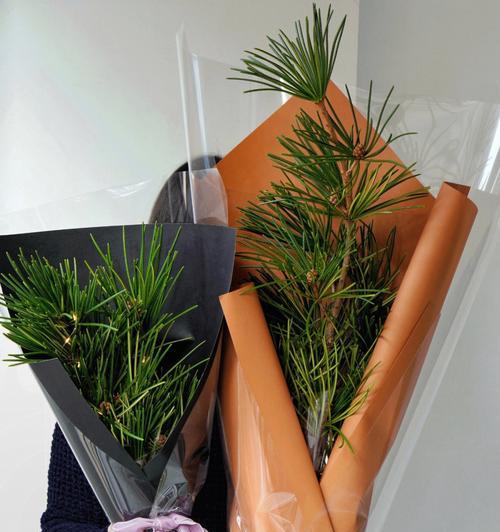 以代表礼仪的植物（传统礼仪中的植物象征意义与用途）