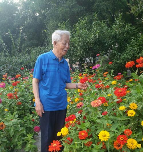 植物中代表亲情的意义与象征（探寻植物中的亲情之美）
