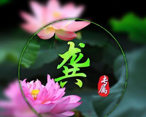 友谊长存的花——传递真挚情谊的使者（用花朵记录友情的美好瞬间）