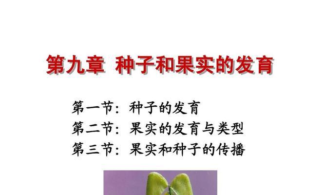 植物种子的形成与发育（从受精到胚珠成熟，了解种子的生长过程）