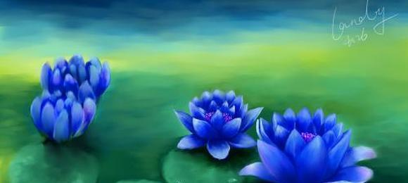 蓝莲花的花语与意义（探寻蓝莲花所代表的情感与象征）