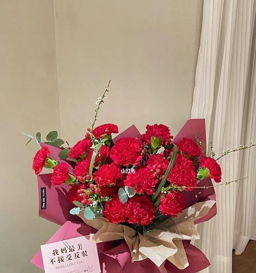 红色康乃馨的花语和寓意（红色康乃馨的深情寓意与美丽花语）