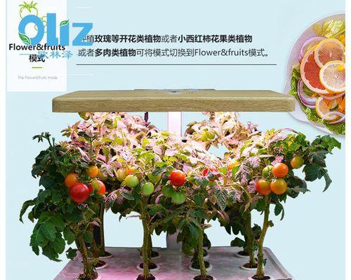 水培蔬菜种植技术（简单易行的水培蔬菜种植技巧）