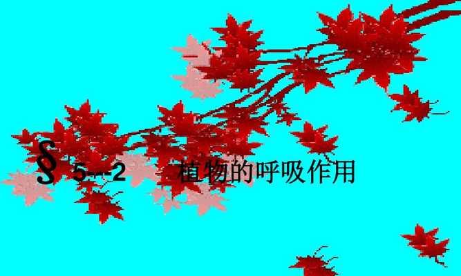 植物呼吸作用的意义（探索植物呼吸作用的关键因素）