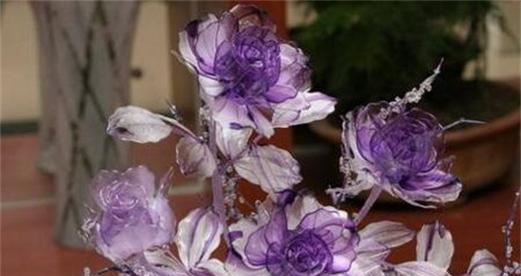 水晶草的花语与寓意（揭示水晶草花语的隐秘世界）