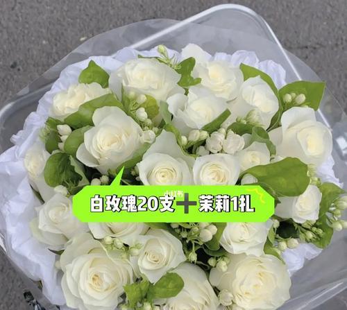 11朵白玫瑰的花语（探索白玫瑰背后的花语意义）
