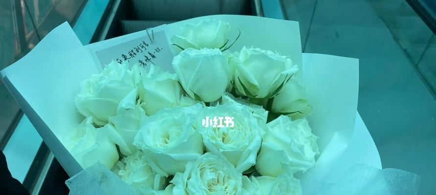 白玫瑰的花语与象征（揭示纯洁和无邪的美丽之花）