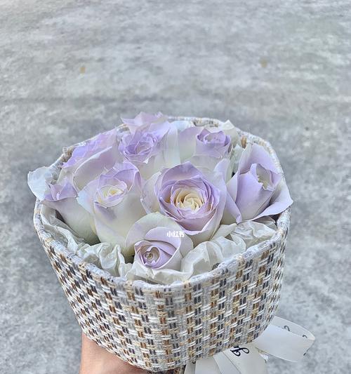 浪漫芬芳，薄雾玫瑰花语（探秘薄雾玫瑰的浪漫花语）
