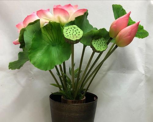 以莲花的寓意和象征风水（莲花的美丽与神秘以及风水意义）