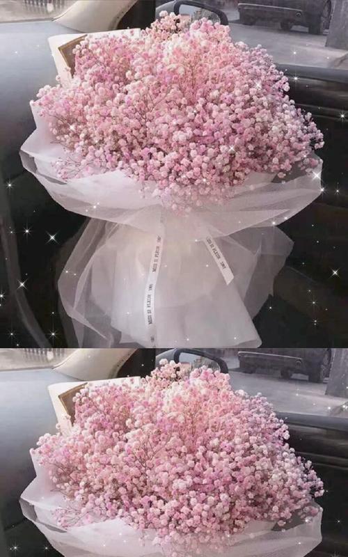 满天星花语与寓意（浪漫花海中的真情告白）