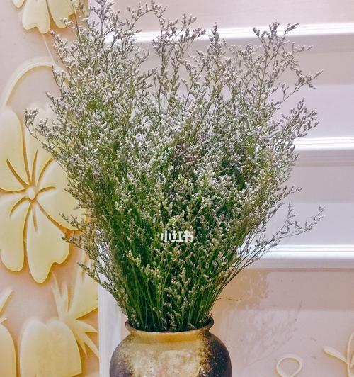 情人草的花语与寓意（以情人草为纽带）