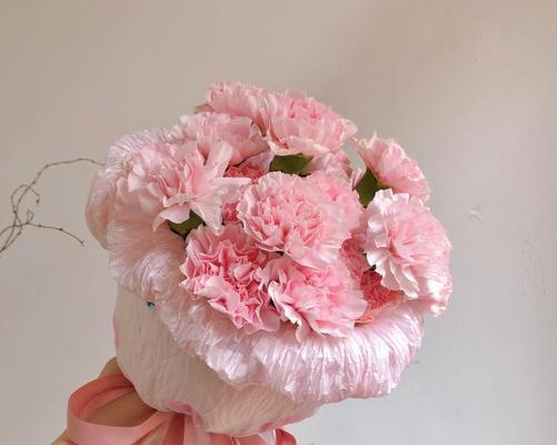 母亲节的代表花（母亲节花的象征意义及选送技巧）