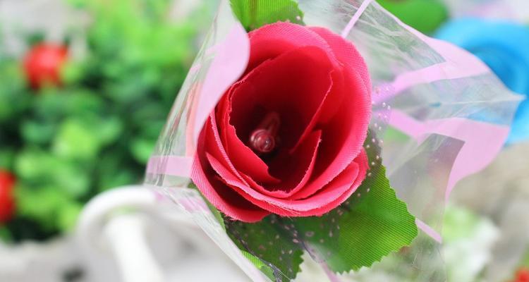 玫瑰花（探索玫瑰花代表的情感与象征意义）