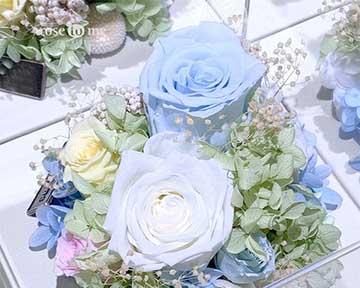 永生花的花语与寓意（探寻永生花背后的情感和意义）