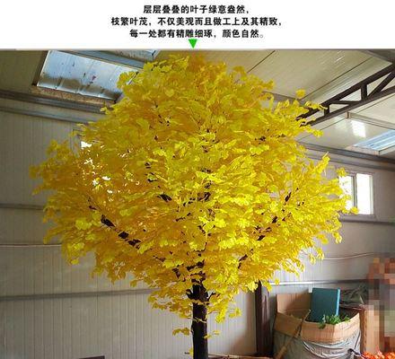 银杏树怎么种植（银杏树的栽培与管理）