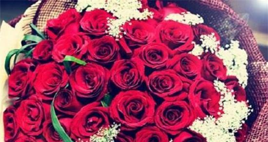 十九朵红玫瑰的花语与意义（浪漫爱情的象征——解析十九朵红玫瑰的花语）